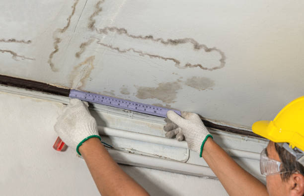 Reliable Burst Pipe Cleanup contractor in Nelson, MO by Water Damage Irwin